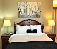 Master Bedroom King Mattress Fully Furnished Apartment Suite Mississauga