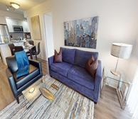 Circa II - Furnished Living Room