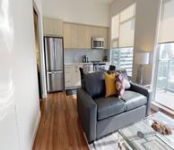 Versus 2 - Living Room 2