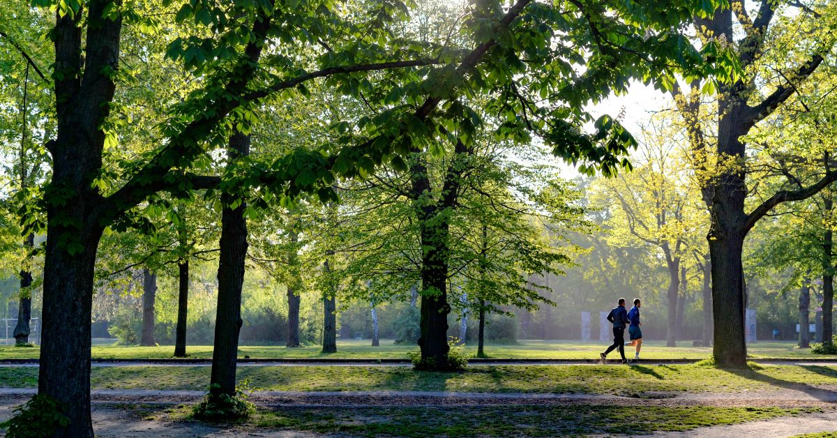 Two men running through a lush green park in the early morning